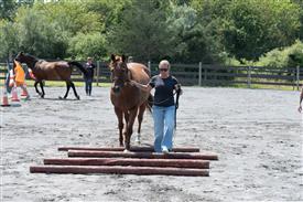 LR-WRF 08022025-Retreat-3358